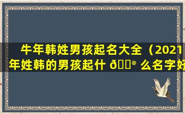 牛年韩姓男孩起名大全（2021年姓韩的男孩起什 💮 么名字好）